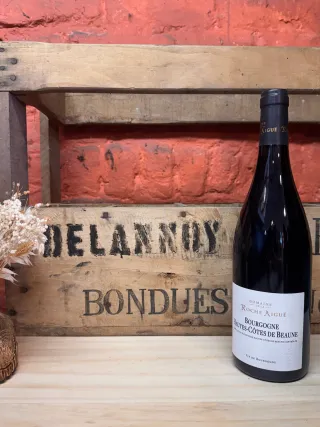 Roche Aiguê Hte Côtes de Beaune rouge
