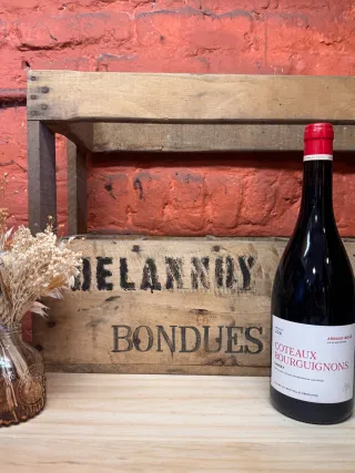 Coteaux Bourguignons "Gamay" Arnaud boué