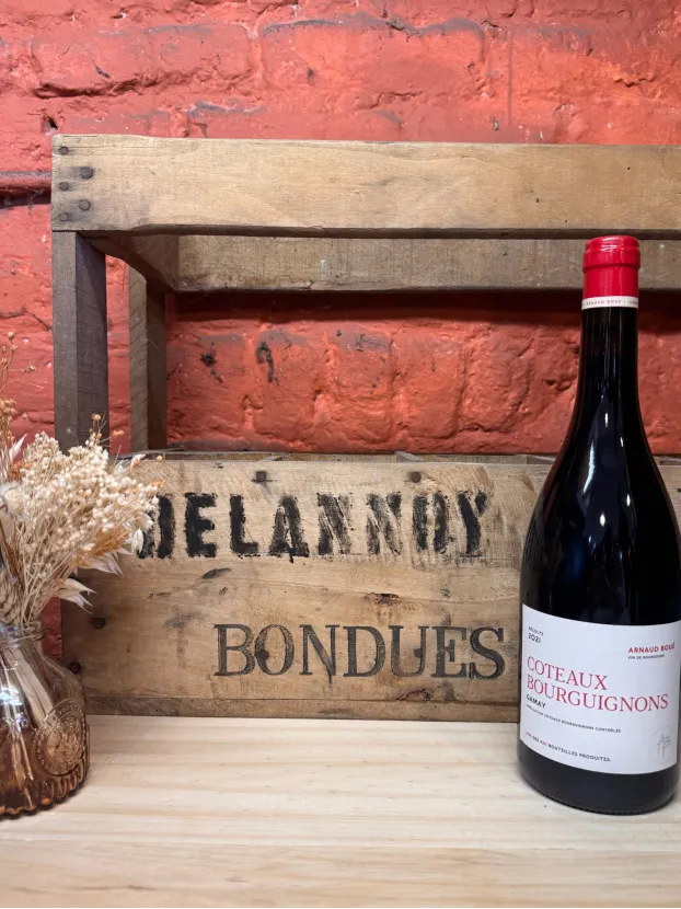 Coteaux Bourguignons "Gamay" Arnaud boué