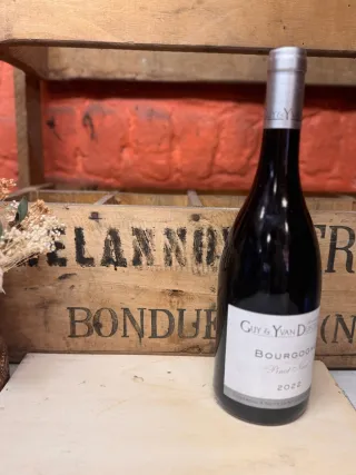 Cave de Lugny Bourgogne "Pinot Noir"