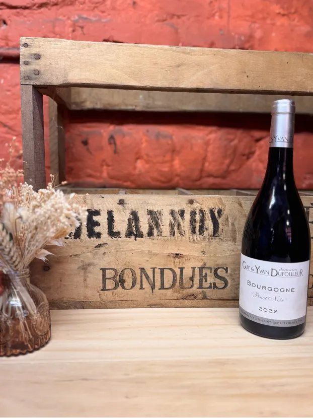 Bourgogne Pinot Noir Loïs Dufouleur Bourgogne Pinot Noir Loïs Dufouleur