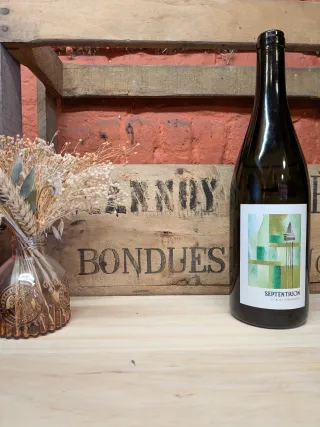 septentrion pinot auxerrois