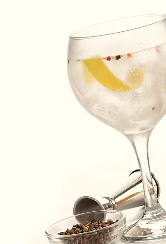 Catégorie - Gins