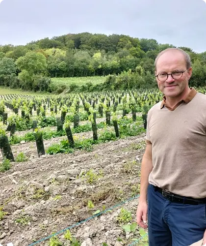 La Naissance des Caves de Bondues